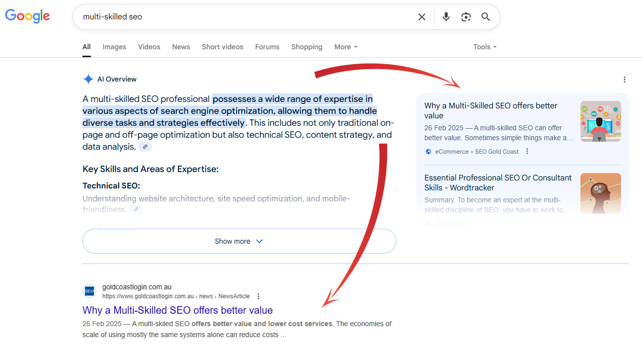 Multi Skilled SEO AI Overview