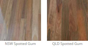 Spotted Gum Floor