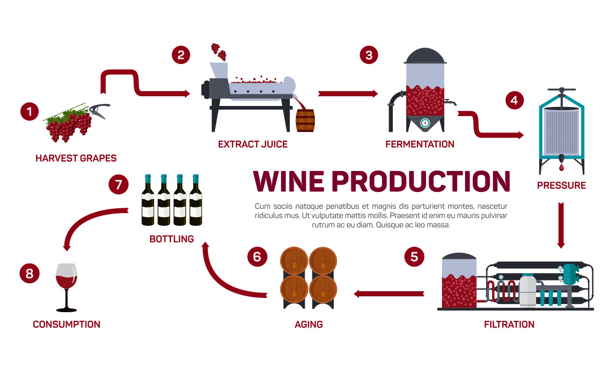 Wine Making Process